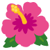 🌺